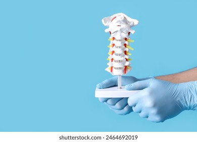 Male doctor holding spine model on blue background - Powered by Shutterstock