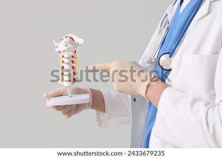 Male doctor pointing at spine model on grey background