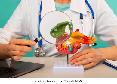 Male doctor showing a model of pancreas using magnifying glass. Early diagnosis and treatment.