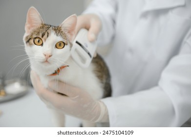 male doctor, veterinarian, with a stethoscope in veterinary clinic conducts examination and medical examination of domestic cat, concept of medical veterinary care, pet health - Powered by Shutterstock