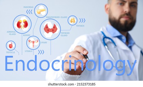 Male Doctor Writing Word ENDOCRINOLOGY On Virtual Screen Against Light Background