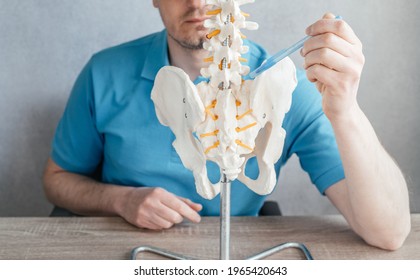 Male doctor's hand pointing at the SIJ sacroiliac joint on skeleton spine model close-up, physiotherapist pointing at spine model in the clinic