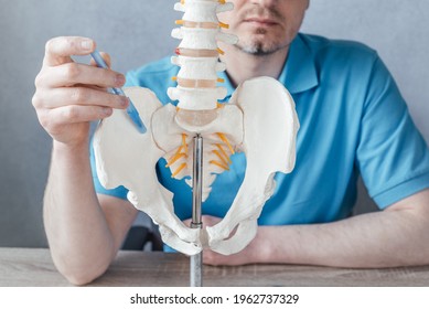 Male doctor's hand showing sacroiliac joint on skeleton spine model close-up, physiotherapist pointing at spine model in the clinic