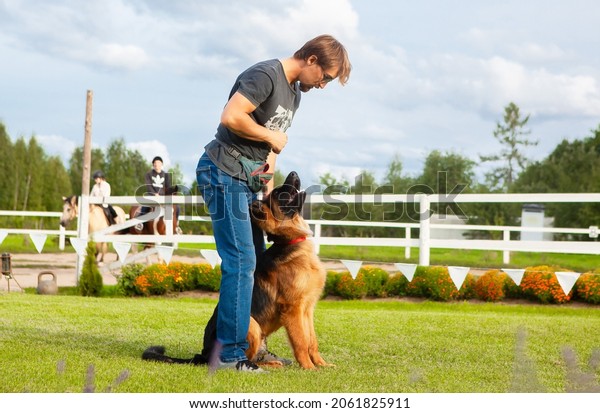 A male dog handler, owner of a\
young German shepherd dog, trains his dog on a training\
field.