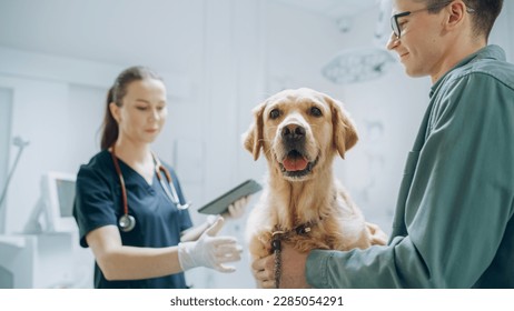 Male Dog Parent Brings His Furry Companion to a Contemporary Veterinary Clinic for a Check Up Visit. Golden Retriever Sits on the Examination Table as a Female Veterinarian Looks Over the Pet - Powered by Shutterstock