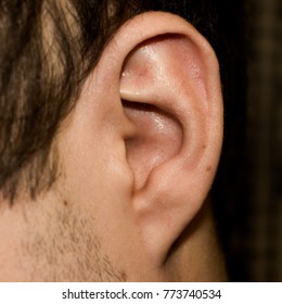 Male Ear. Adherent Earlobe Close-up. Square Photo.