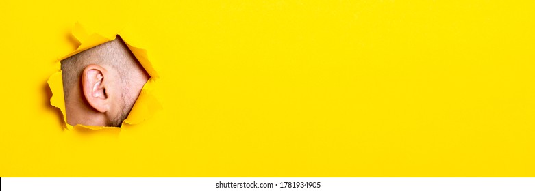 Male Ear Peeking Out Of The Torn Hole Yellow Background. Perception Of Sounds. Banner.