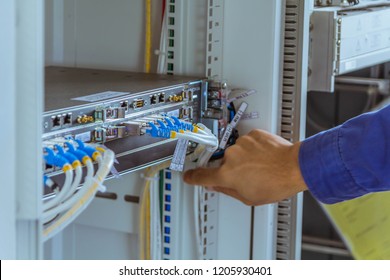 Male engineers are checking communication cable for working normally.