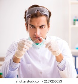 Male Entomologist Working In The Lab On New Species