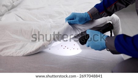 Male Exterminator With Flashlight Inspecting Infested Bed For Bugs