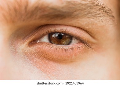 Male Eye Close Up. Man Looks Into The Frame. Brown Iris In Macro.