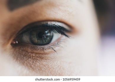 male eye is green. purposeful look. green eyes. male look. - Shutterstock ID 1056959459