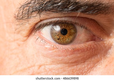 Male Eye Macro