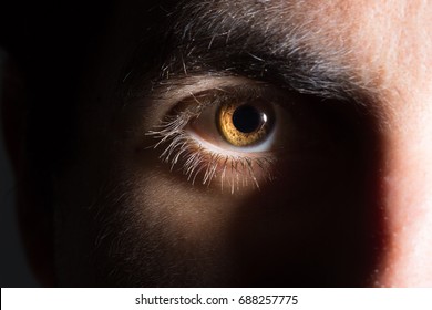 Male Eye On The Dark