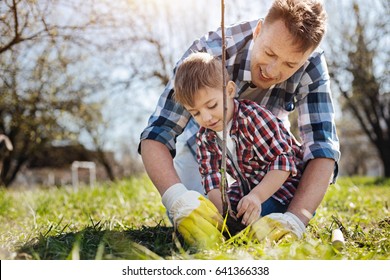 Male family members planting fruit tree