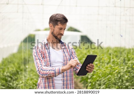 Male farmer checking crop data on a digital tablet, managing smart farming operations in a modern greenhouse