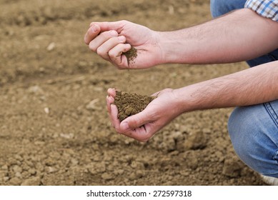 Male Farmer Examines Soil Quality On Fertile Agricultural Farm Land, Agronomist Checking Soil In Hands.