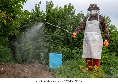 Male farmer with hat, glasses, respirator, apron, protective clothing watering fruit trees with professional sprayer. Fighting pests in garden. Blue reservoir with electric sprayer. Poison for insects