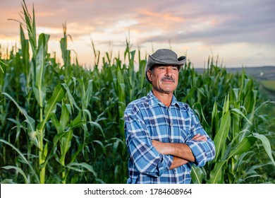 261 Farmer Standing His Cornfield Images, Stock Photos & Vectors ...