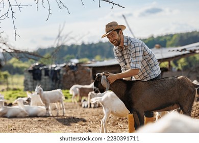 Male farmer taking care of his cute goats. Young rancherman getting pet therapy. Animal husbandry for the industrial production of goat milk dairy products. Agriculture business and cattle farming. - Powered by Shutterstock