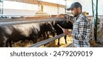 Male farmer uses digital tablet in cattle ranch. Smart farming. Digital transformation in livestock farming and agriculture.