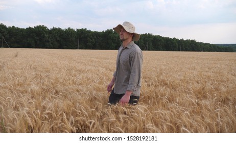 Male Farmer Walking Among Ripe Wheat Meadow And Exploring Golden Plantation. Young Agronomist Going Through The Barley Field And Examining Cereal Harvest. Agriculture Concept. Dolly Shot Slow Mo