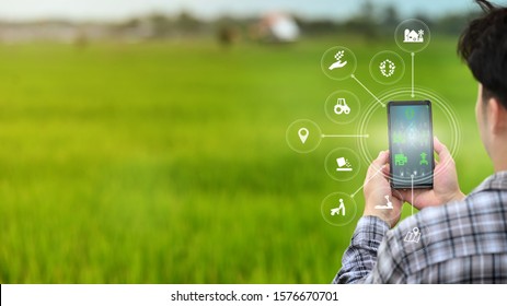 A male farmer is working in the field his using a mobile phone with Innovation technology for smart farm system.