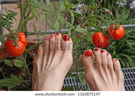 male feet with red painted nails and tomatoes