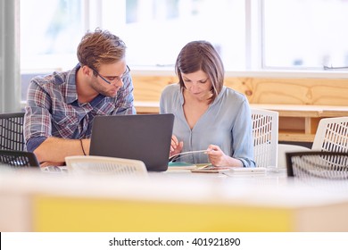 Male And Female Business Professionals Working Together In Office