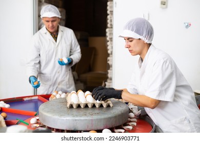 Male and female farmers colleagues in white coats sorting and labeling chicken eggs on conveyor belt from pen with chickens, putting eggs to special trays on farm - Shutterstock ID 2246903771