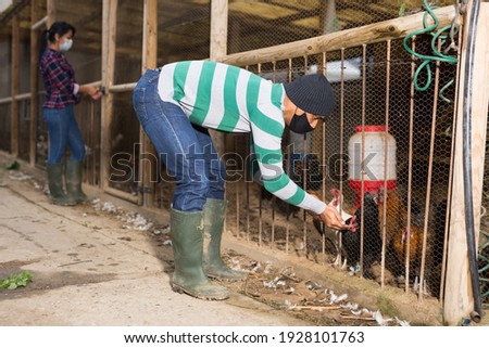 male and female farmers in protective face masks taking care of poultry at the farm