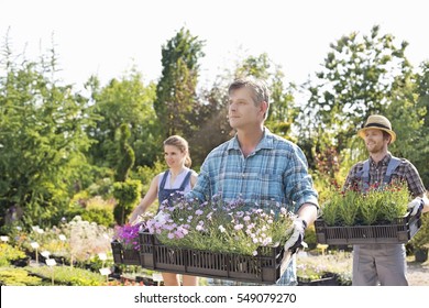 Male And Female Gardeners Carrying Crates With Flower Pots At Plant Nursery