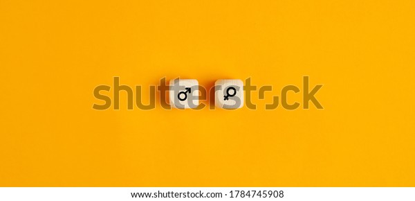 Male and female icon symbols on wooden\
blocks against yellow background. Flat lay view. \
