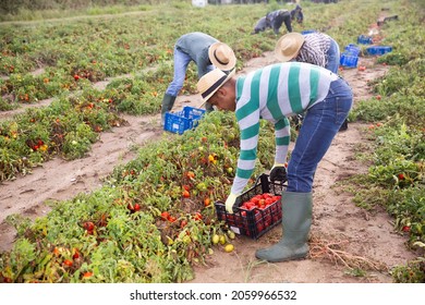 292 Tornado damage farm Stock Photos, Images & Photography | Shutterstock