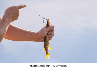 A Male Fisherman Holds A Pike Caught On A Hook In His Hands