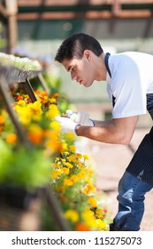 Male Florist Working Inside Nursery