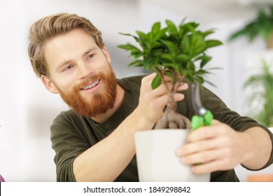 Male Gardener Taking Care Of Bonsai