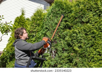 Male gardener in uniform using electric hedge cutter for work outdoors. Man shaping overgrown thuja during summer time. Gardening at summer. Standing on the ladder. Close-up. - Powered by Shutterstock