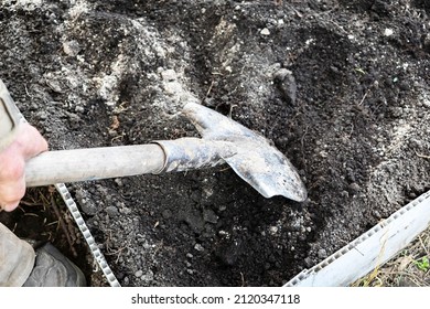 Male Gardener Worker Digging In Vegetable Garden With Shovel. Farmer Man In Rubber Boots Working Hands With Spade Dig Black Soil, Ground, Lawn.farmland, Agriculture. Autumn Fall Spring Work Cleaning.