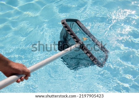 Male hand cleaning a swimming pool with a Skimmer net