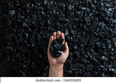 Male Hand With Coal On The Background Of A Heap Of Coal, Coal Mining In An Open Pit Quarry, Copy Space. Fossil Fuels, Environmental Pollution