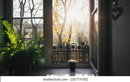 Morning Room Images Stock Photos Vectors Shutterstock