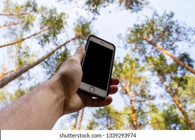 Male Hand Is Holding A Phone Above His Head Against The Background Of Trees In A Pine Forest. Concept Of No Service, Wifi, Internet In The Forest Or A Place Far From The City