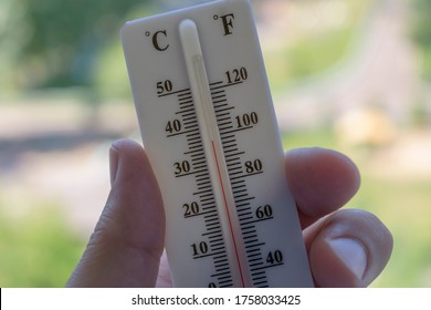 Male Hand Holds A Thermometer. The Temperature On The Celsius Scale Is  36.6 C, And On The Fahrenheit Scale -  97.9 F In Degrees. Concept Of Normal Human Temperature And High Ambient Temperature.