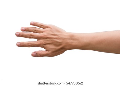 Male hand isolated