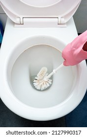 Male Hand In Latex Glove Using A Toilet Brush To Scrub The WC Bowl. Top View, No Face.