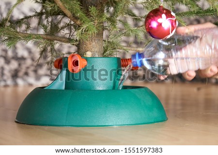 Male hand pouring water into the plastic stand for decorated organic Christmas tree from a plastic bottle in New Year eve in the city flat
