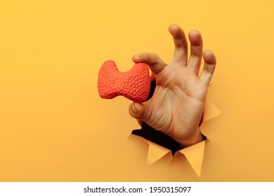 Male hand showing a thyroid out of a hole torn in yellow paper wall. Health care, pharmaceutics and medicine advertisement
