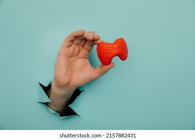 Male hand showing a thyroid out of a hole torn in blue paper wall. Health care, pharmaceutics and medicine advertisement