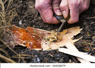 Male Hand Starts Fire With Magnesium Fire Steel, Fire Striker